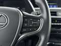 Lexus UX 250h Business Line Limited | Trekhaak | Stoelverwarming Gris - thumbnail 21