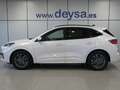 Ford Kuga ST-Line X 2.5 Duratec FHEV Auto Blanco - thumbnail 2