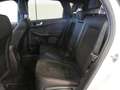 Ford Kuga ST-Line X 2.5 Duratec FHEV Auto Blanco - thumbnail 16