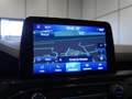 Ford Kuga ST-Line X 2.5 Duratec FHEV Auto Blanco - thumbnail 11