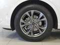 Ford Kuga ST-Line X 2.5 Duratec FHEV Auto Blanco - thumbnail 6