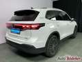 Volkswagen Tiguan 1.5 eTSI DSG GOAL Garantie b. 2.2.30 / Navi Weiß - thumbnail 8