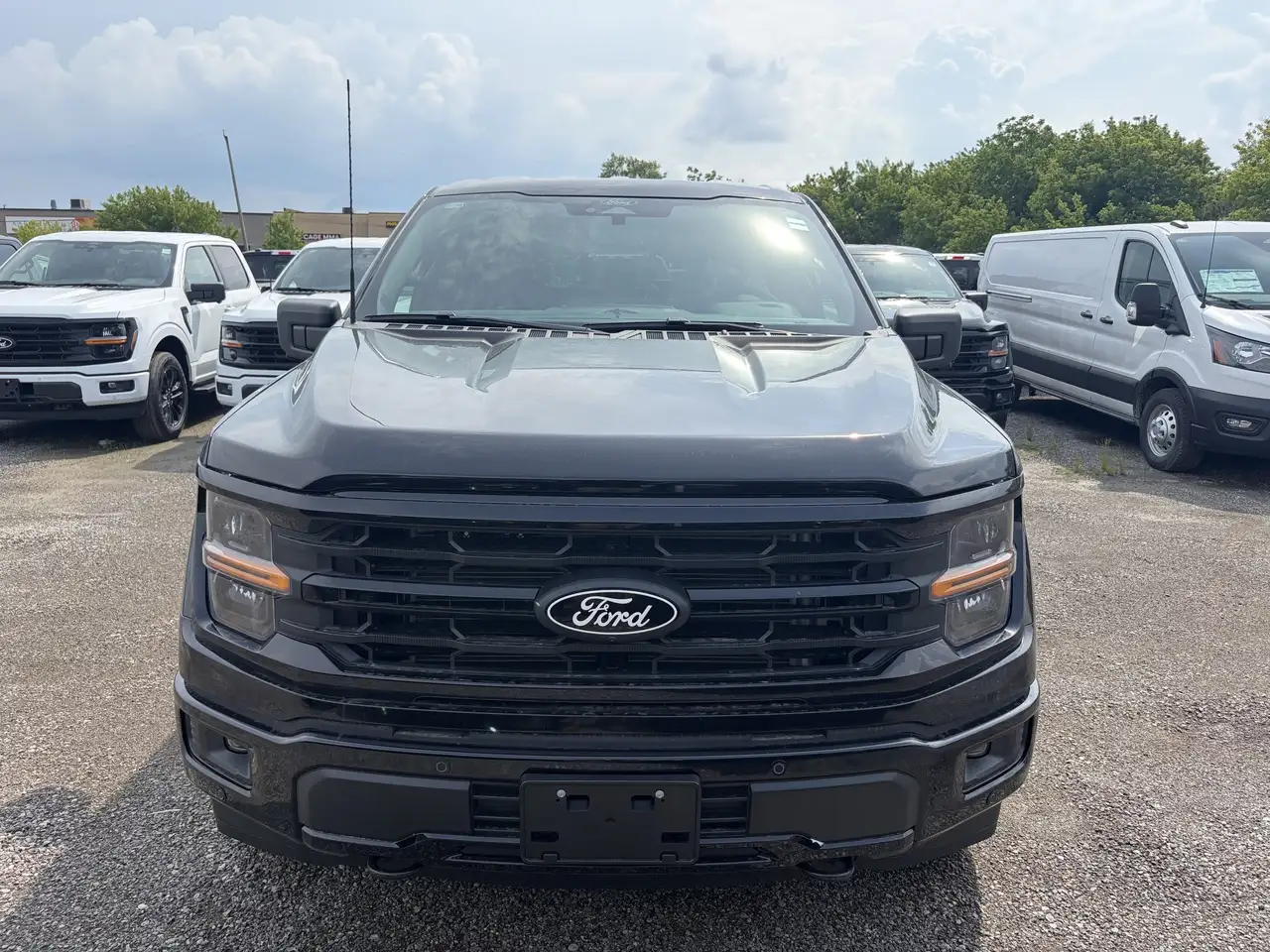 Ford F 150 снимка Ford F 150