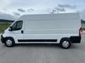 Opel Movano L3H2 2.2 BlueHDi 165 S&S Cargo Edition 3.5t+ White - thumbnail 8