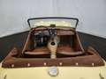 Triumph TR3 Jaune - thumbnail 27