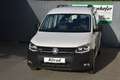 Volkswagen Caddy Maxi 4Motion 2.0 TDI Kombi/ LED / AHK / Service N Weiß - thumbnail 2