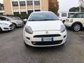 Fiat Punto Evo 5p 1.4 natural power Street 77cv Blanc - thumbnail 3