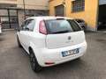 Fiat Punto Evo 5p 1.4 natural power Street 77cv Blanc - thumbnail 6
