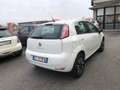 Fiat Punto Evo 5p 1.4 natural power Street 77cv Blanc - thumbnail 7