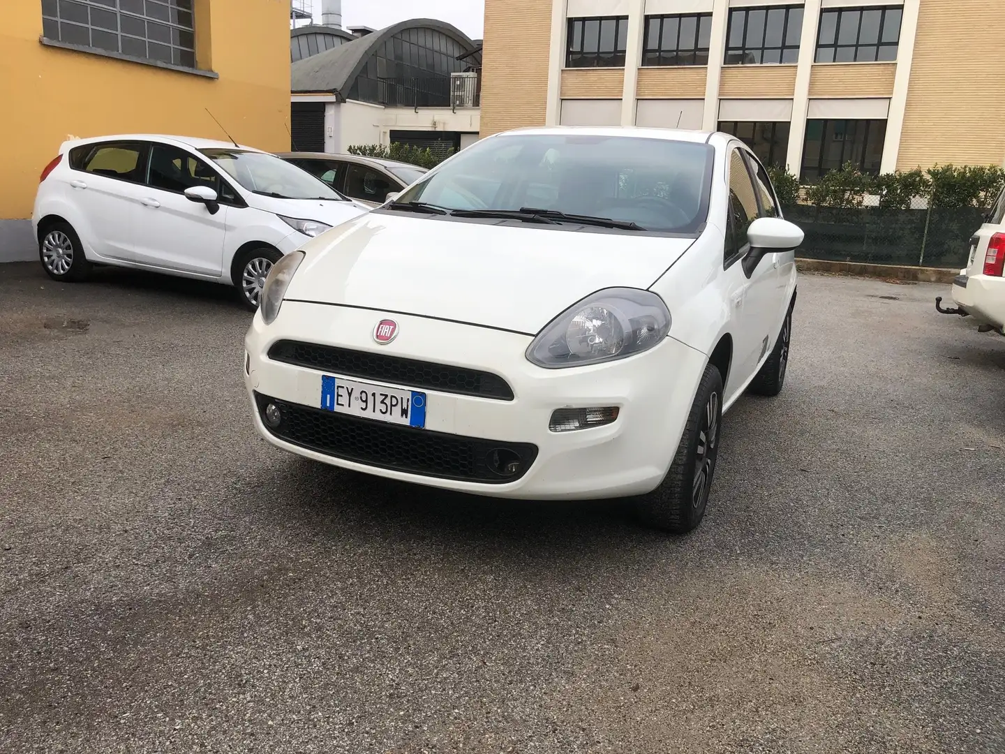 Fiat Punto Evo 5p 1.4 natural power Street 77cv Bianco - 1
