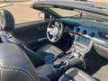 Ford Mustang GT Bleu - thumbnail 4