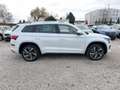 Skoda Kodiaq L&K TDi DSG 4x4 Matrix/Pano/CarPlay/ACC Weiß - thumbnail 8