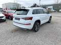 Skoda Kodiaq L&K TDi DSG 4x4 Matrix/Pano/CarPlay/ACC Weiß - thumbnail 7