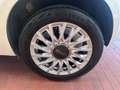 Fiat 500 500 1.0 hybrid Dolcevita 70cv  km tettovetro c 15 Bianco - thumbnail 8