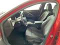Opel Astra L 1.5 Diesel SHZ, 360-Grad-Kamera Czerwony - thumbnail 10