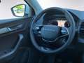 Skoda Karoq 2,0 TDI Selection Weiß - thumbnail 13