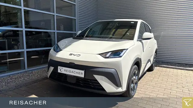 BYD Dolphin Surf