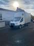Ford Transit 350 L4 Trend Schlafkabine, Standheizung 170Ps Blanco - thumbnail 2