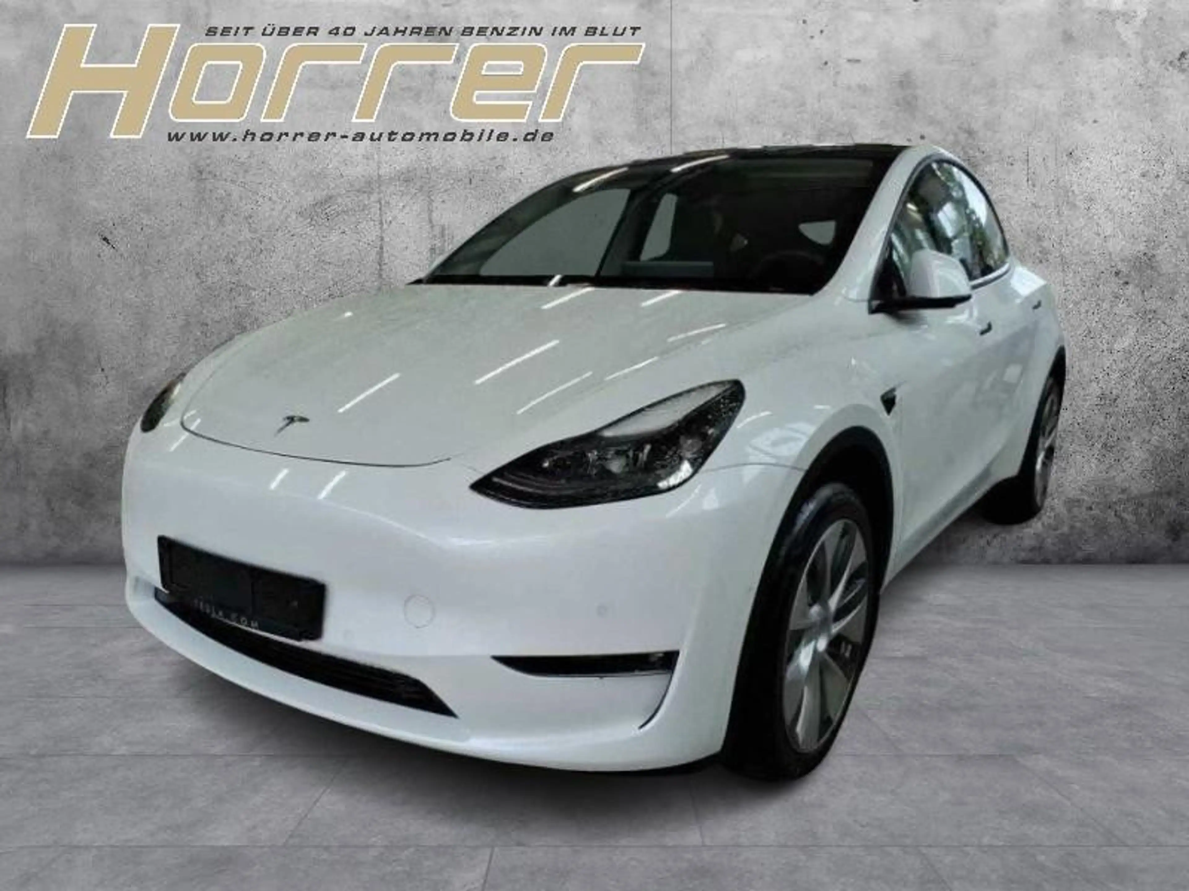 Tesla Model Y Long Range Dual AWDA.pilot Pr. Int.
