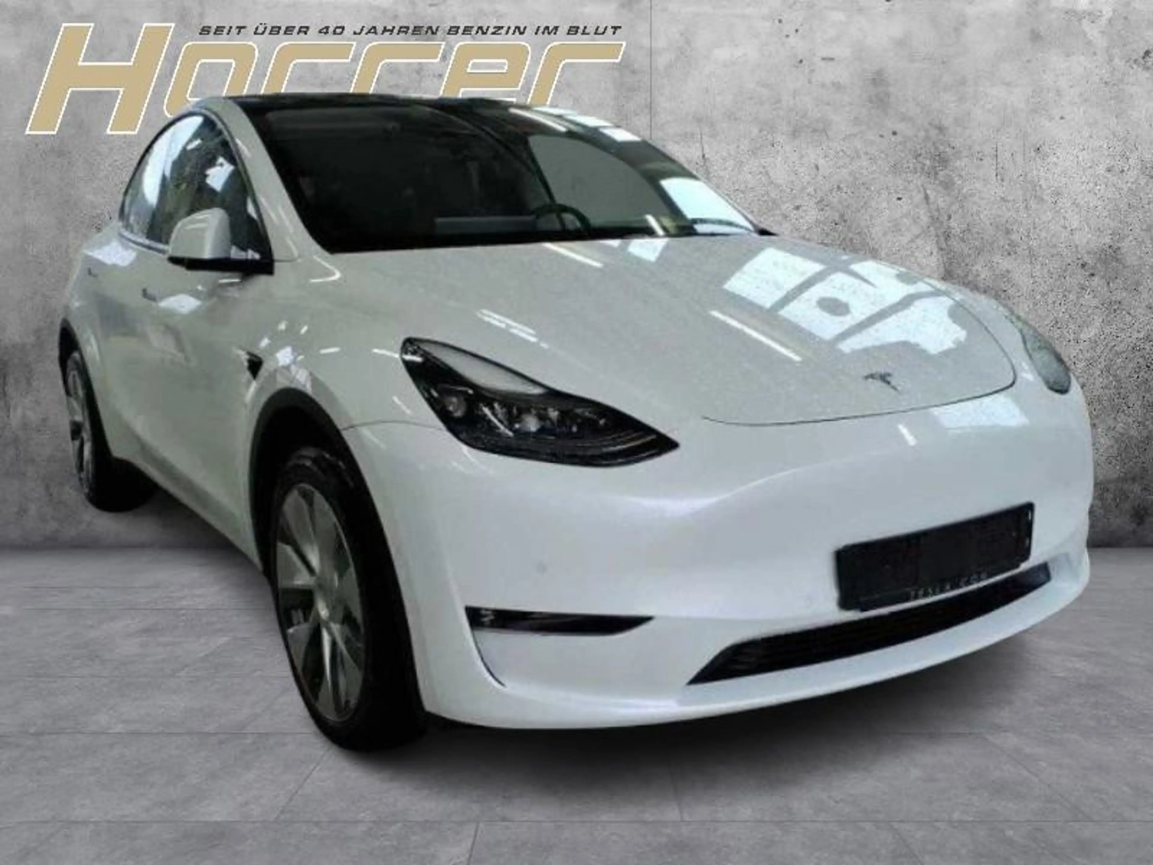 Tesla Model Y Long Range Dual AWDA.pilot Pr. Int. — photo 2