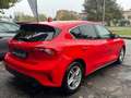 Ford Focus Focus 1.5 EcoBlue 120 CV 5p. Business Rouge - thumbnail 5