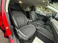 Ford Focus Focus 1.5 EcoBlue 120 CV 5p. Business Rouge - thumbnail 7
