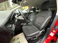 Ford Focus Focus 1.5 EcoBlue 120 CV 5p. Business Rouge - thumbnail 8