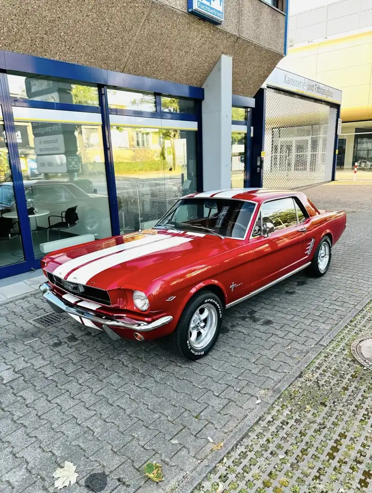 Ford Mustang Coupe - Baujahr 1966, foto 3