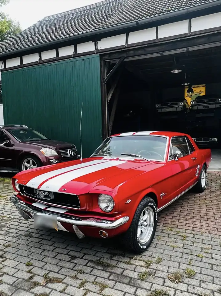 Ford Mustang Coupe - Baujahr 1966, foto 5