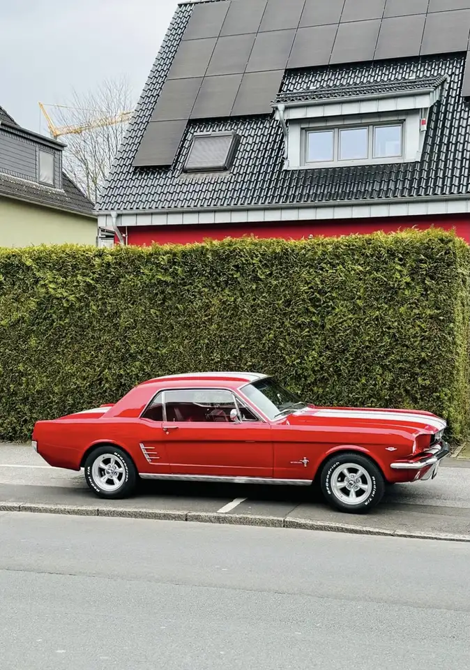 Ford Mustang Coupe - Baujahr 1966, foto 2