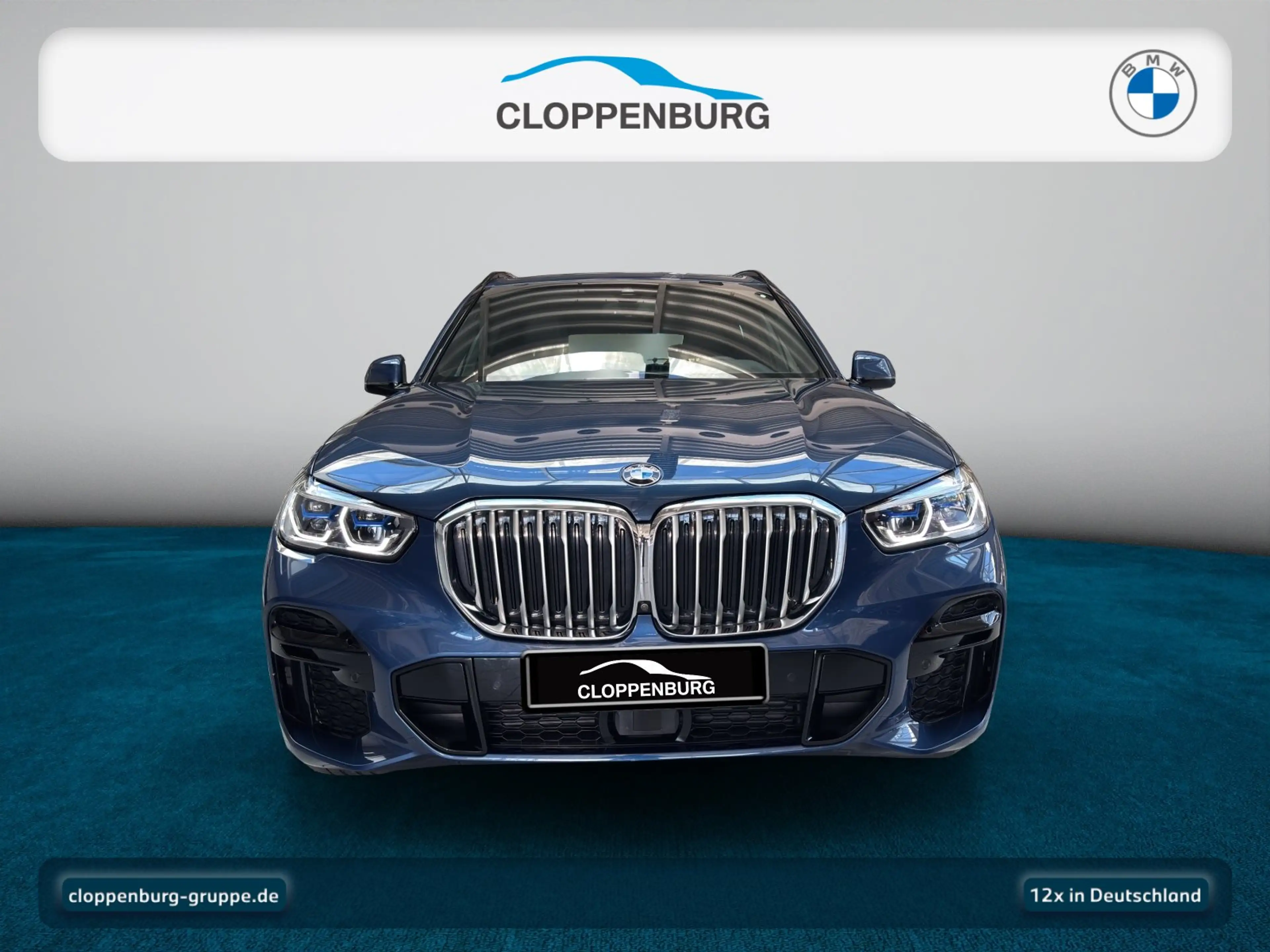 BMW X5 xDrive40d M Sport Head-Up+AHK+StHz+Navi+Laser — photo 10