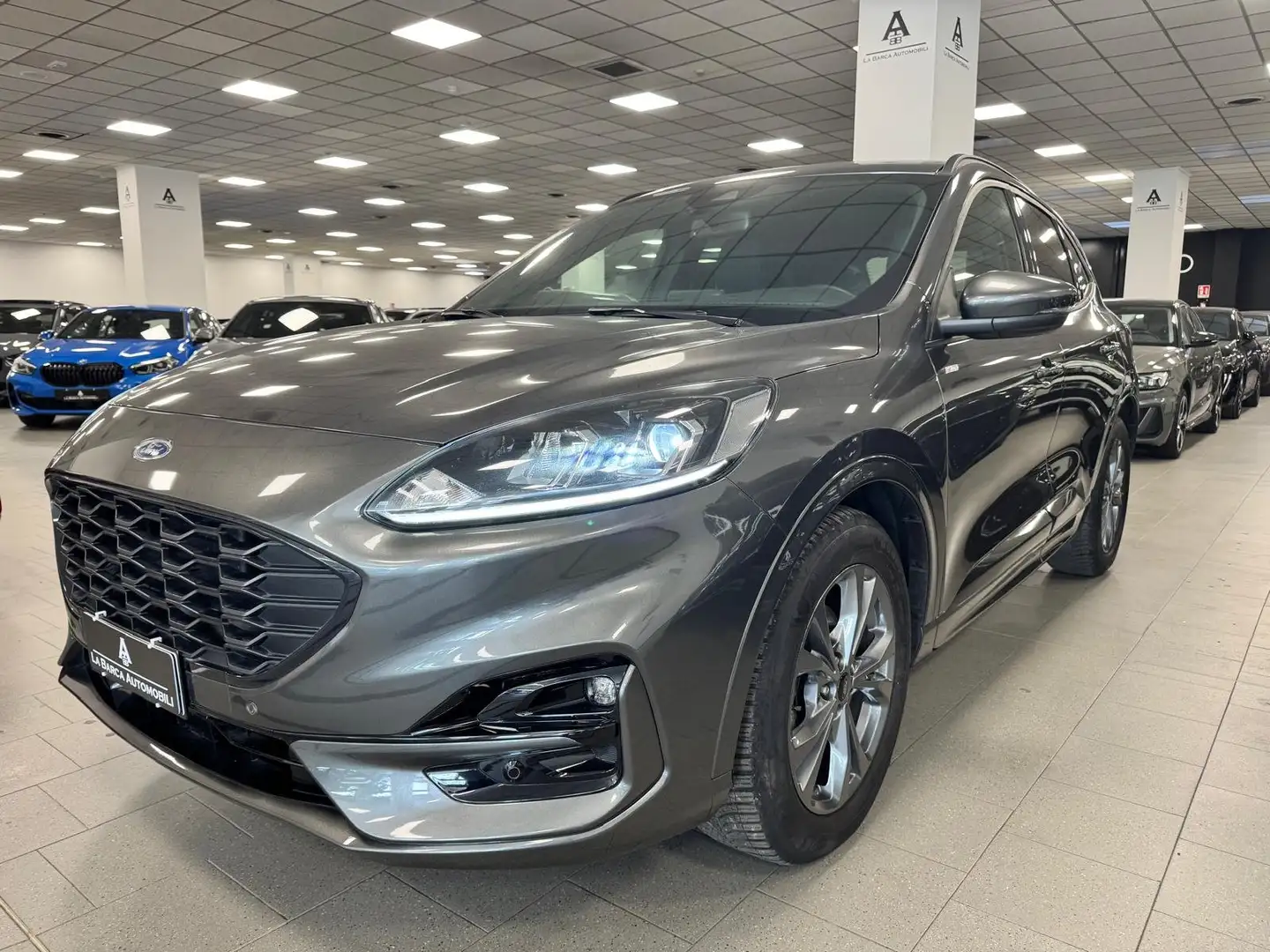 Ford Kuga 2.0 ecoblue ST-Line 2wd 120cv auto Grigio - 2