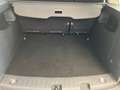 Volkswagen Caddy 1.4 TGI Trendline NAVI SHZG RFK PARKASSIST Grau - thumbnail 14
