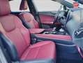 Lexus NX 450h+ 450h+ Luxe 4WD MY24 Sieges chauf/cuir Volant chauf GPS Camera Attelage Gris - thumbnail 5