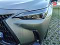 Lexus NX 450h+ 450h+ Luxe 4WD MY24 Sieges chauf/cuir Volant chauf GPS Camera Attelage Gris - thumbnail 13