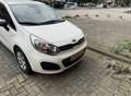 Kia Rio 1.2 CVVT Super Pack Biały - thumbnail 11