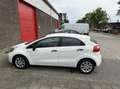 Kia Rio 1.2 CVVT Super Pack Biały - thumbnail 6