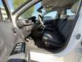 Citroen C3 Shine Weiß - thumbnail 4