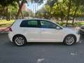 Volkswagen Golf 1.6TDI Advance DSG7 85kW Blanco - thumbnail 4