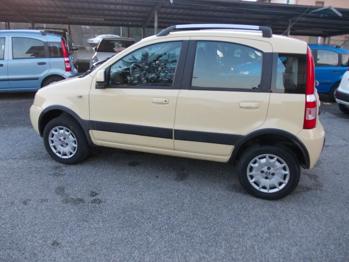 Fiat Panda PANDA 12 4X4 ADVENTURE Giallo - 2