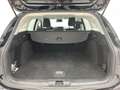 Ford Focus 1.5 EcoBlue Titanium SpoSi Key LED Schwarz - thumbnail 12