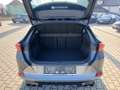 CUPRA Formentor VZ 2.0 TSI 310 PS DSG 4Drive Grau - thumbnail 9