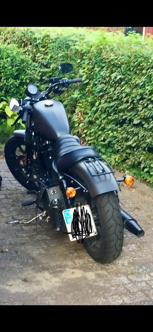 Harley-Davidson Sportster 883 BSLAuspuff tiefer gelegt, Blinker 3in1 Gris - 2