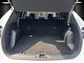 Ford Kuga 2.5 PHEV Cool & Connect Aut./NAVI/PDC/GRA/ Blanco - thumbnail 13