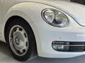 Volkswagen Beetle 1.6TDI Design 105 Blanco - thumbnail 6