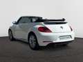 Volkswagen Beetle Design 1.2 TSI  105 PK 6v / Leder / Cruise Control / PDC Blanco - thumbnail 3