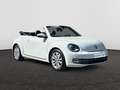 Volkswagen Beetle Design 1.2 TSI  105 PK 6v / Leder / Cruise Control / PDC Blanco - thumbnail 12