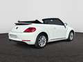 Volkswagen Beetle Design 1.2 TSI  105 PK 6v / Leder / Cruise Control / PDC Blanco - thumbnail 15