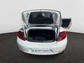 Volkswagen Beetle Design 1.2 TSI  105 PK 6v / Leder / Cruise Control / PDC Blanco - thumbnail 24