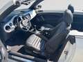 Volkswagen Beetle Design 1.2 TSI  105 PK 6v / Leder / Cruise Control / PDC Blanco - thumbnail 7
